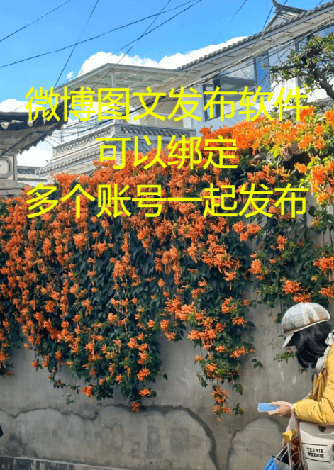 百家号图文发布：深度解析2023年网络内容创作趋势与策略